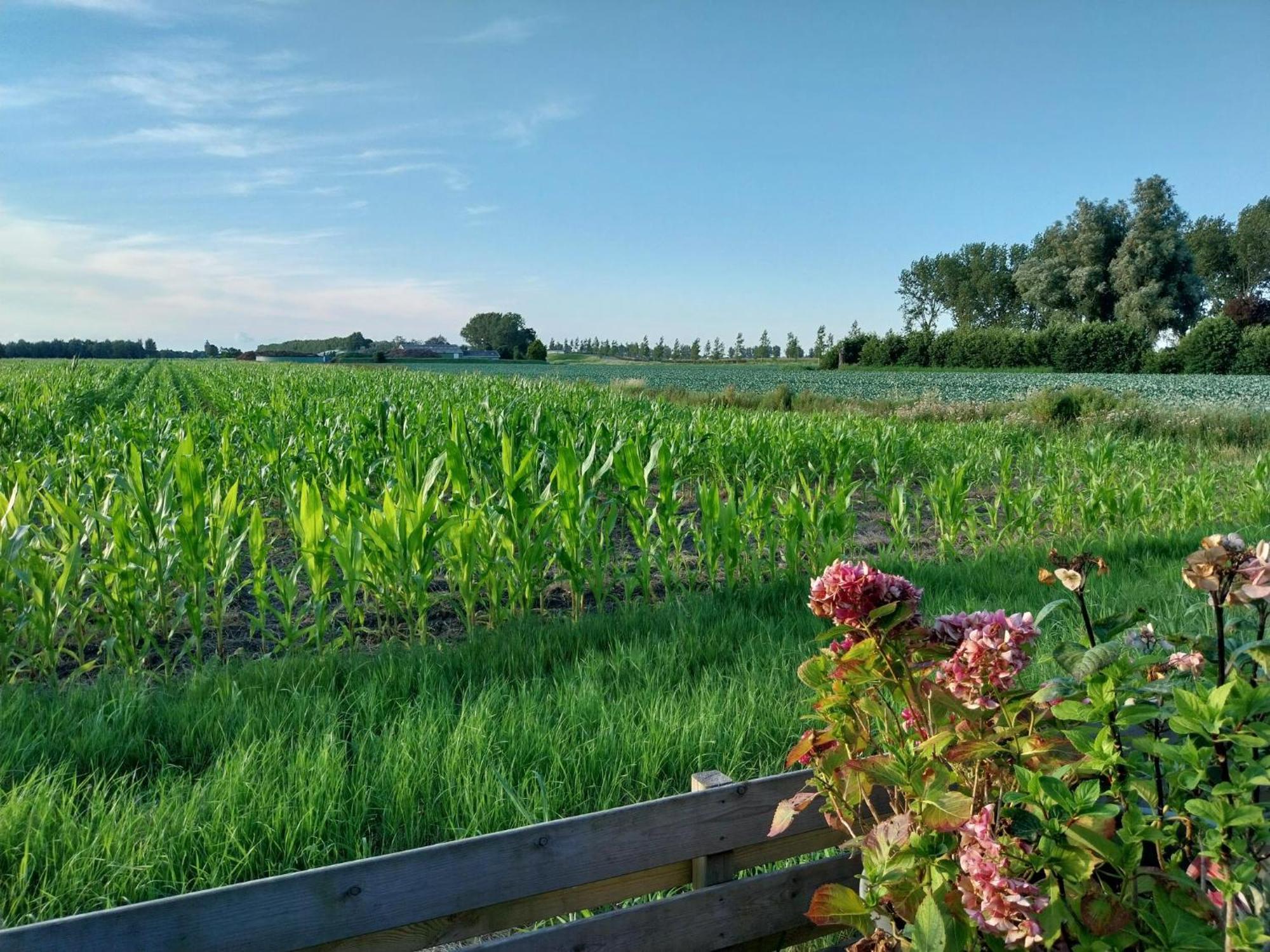 Vakantiewoning Hem Экстерьер фото